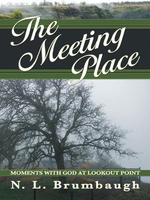 cover image of The Meeting Place